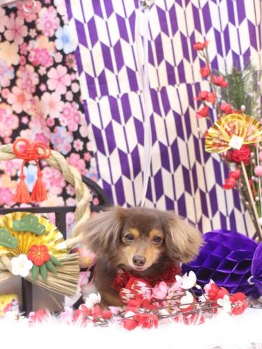 20250108ココちゃん